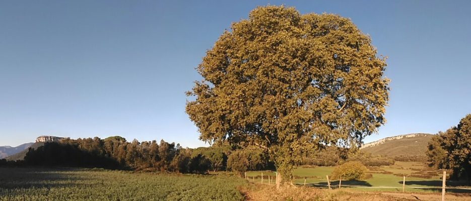 Benvinguts a Sant Martí de Llémena!
